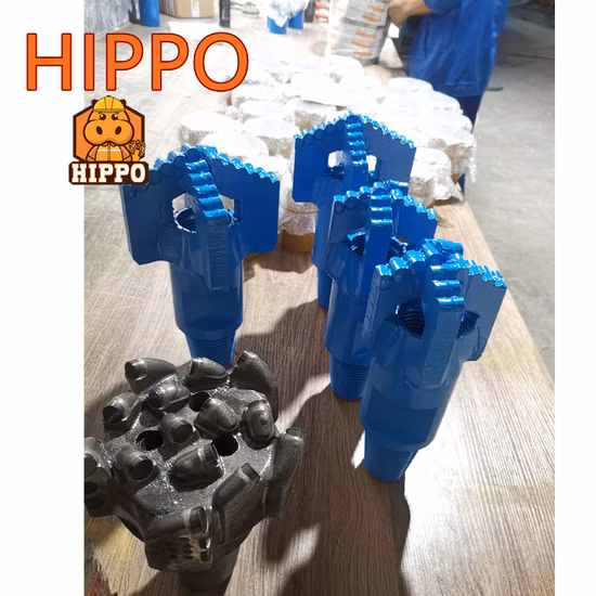 Forme de grattoir 75/91/113/133/153/171mm, embout de traînée PDC